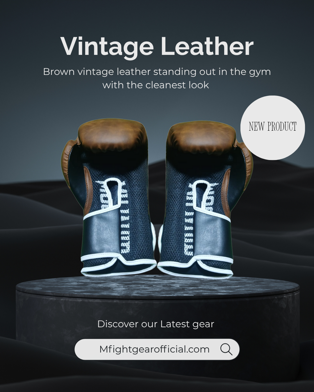 Vintage Leather Boxing Gloves